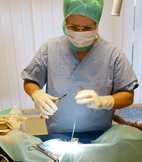 Dr. Petersen bei der Operation eines Hundes