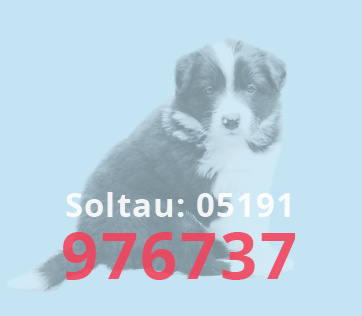 tierarzt-soltau-notfall-telefon-05191-976737-a