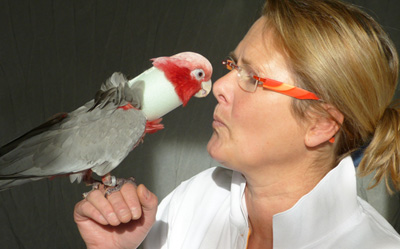Vogeltierarzt Dr. Petersen in Soltau, Heidekreis