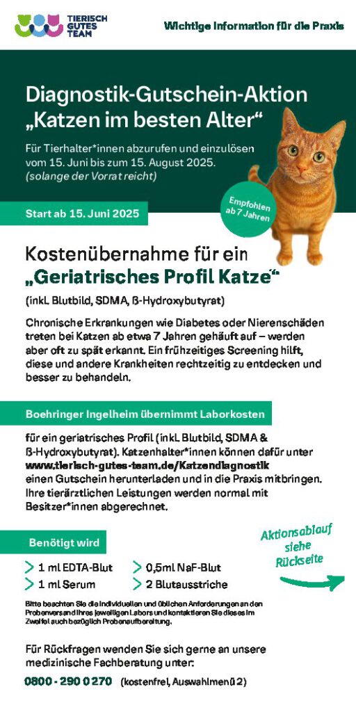 Kostenloser Vortrag auch für Sie!